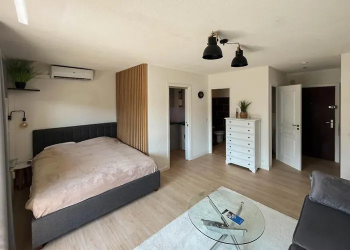 Cozy Studio Apartment In Cannes - Ac-Self Check-In